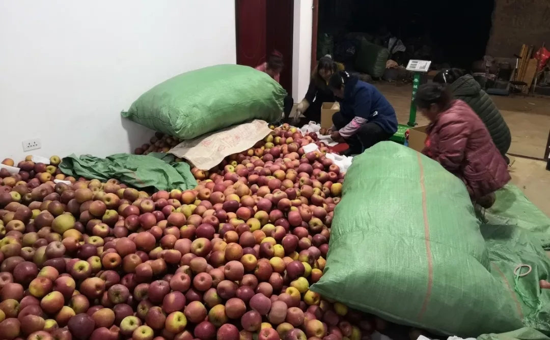 8040威尼斯(中国)有限公司官网